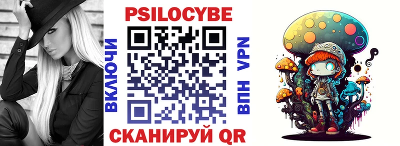 Псилоцибиновые грибы мухоморы  магазин продажи   Петровск-Забайкальский 